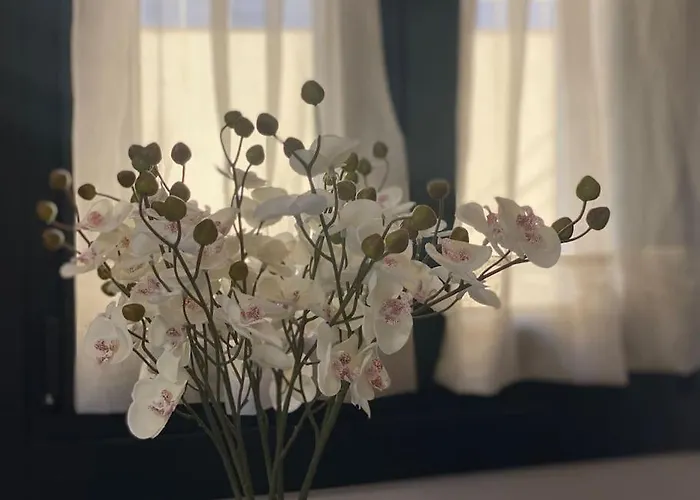 Casa En Montealegre Reformada Y Acogedora *