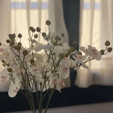 Casa En Montealegre Reformada Y Acogedora *