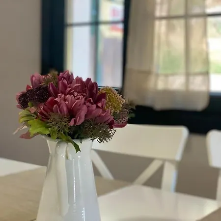 Casa En Montealegre Reformada Y Acogedora * Sámano